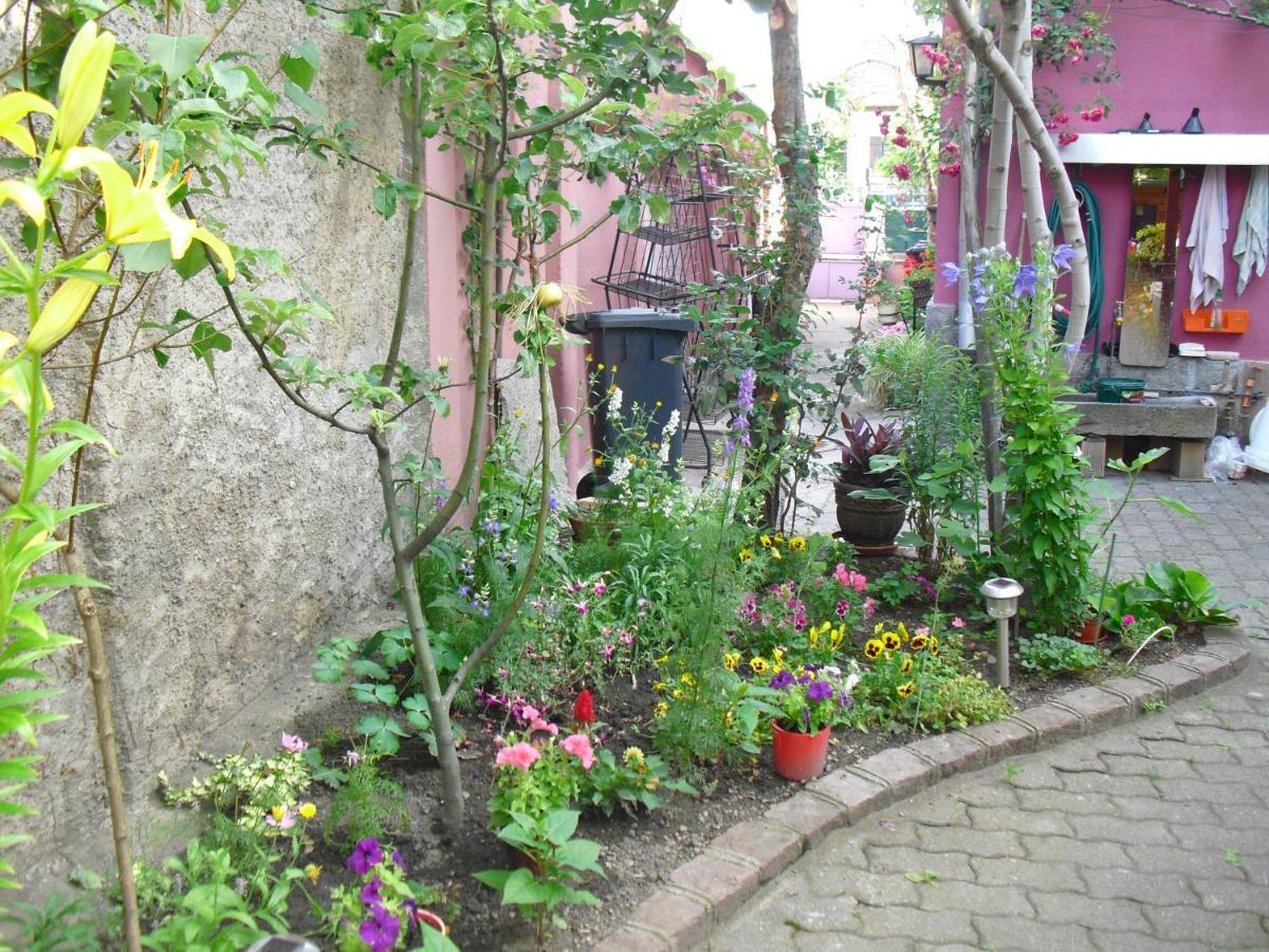 Villa La Baraque Colmar Exterior foto